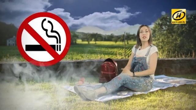 Правила этикета: как выглядеть красиво на пикнике? смотреть онлайн