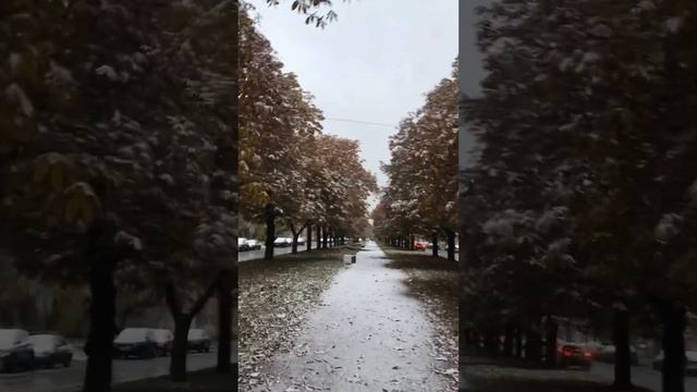 25 октября Питер Снег Золотая осень Хорошее настроение смотреть онлайн