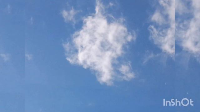 Стихотворение тихорецкой поэтессы Ольги Немыкиной "Нечерёд". смотреть онлайн