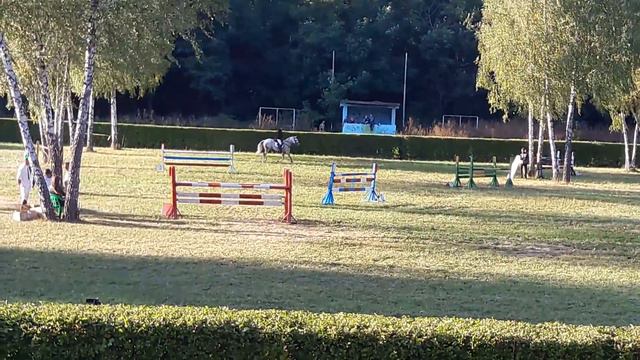 Конкур. Ставрополь, сентябрь 2016, Часть 8 смотреть онлайн