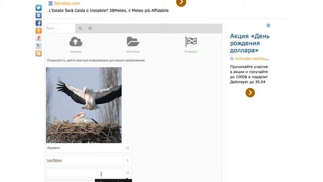 Как добавить своё фото в фотогалерею сайта смотреть онлайн