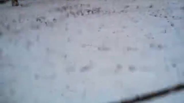 Кидаю в окна смотреть онлайн