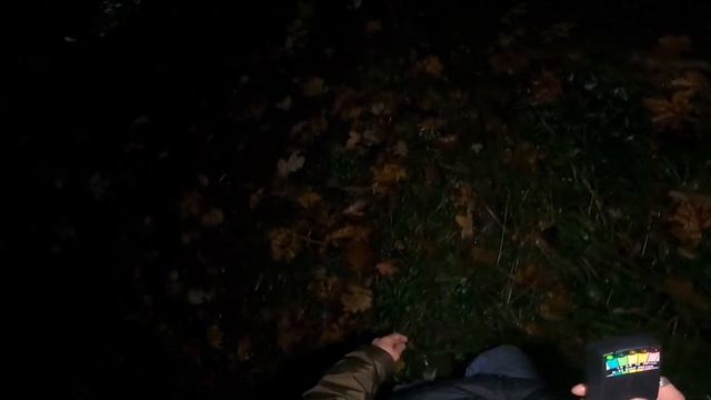 Nawiedzony Las w Witkowicach смотреть онлайн