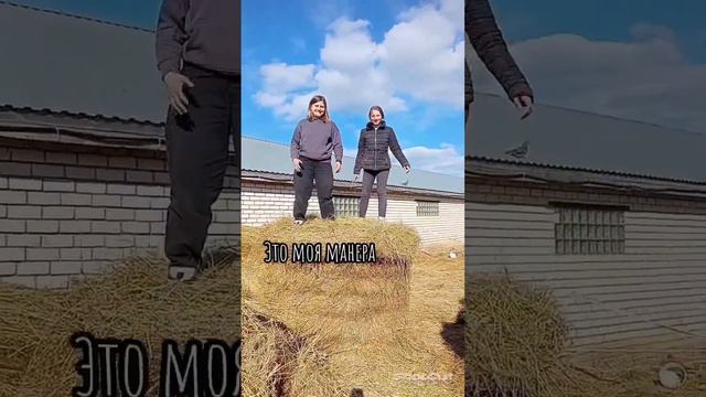 Наш выходной В ролях: Оливия Стефания Каролина Лиза Маша #инстасамка #horse #tiktok смотреть онлайн