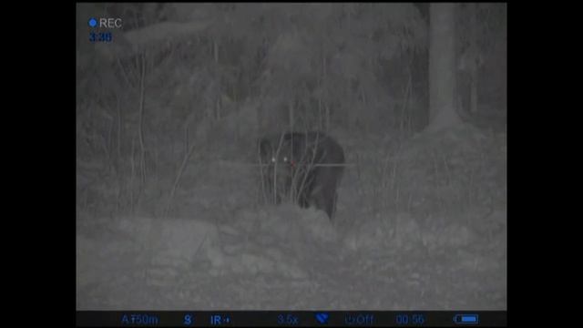 Охота на кабана с вышки. Pulsar Digisight ultra смотреть онлайн