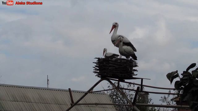 Российская глубинка в 2021 году.Красный бумажник. смотреть онлайн