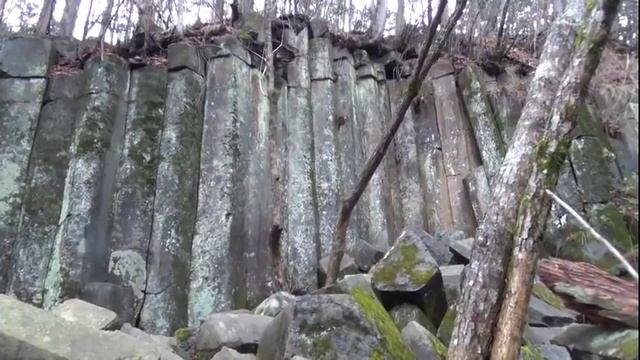 Загадочная стена в тайге