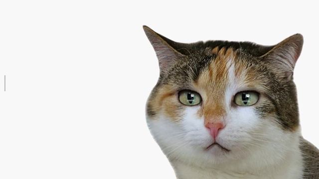 Сделай Свой Мир