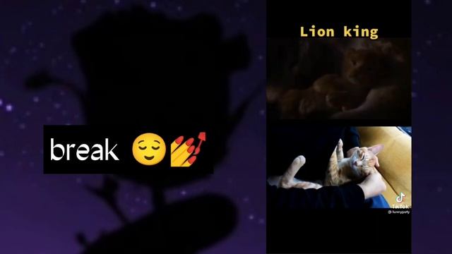 °•Mortal Kombat react to y/n•° 1/? смотреть онлайн