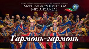Гармун-гармун — Государственный ансамбль песни и танца Республики Татарстан. Декабрь, 2017 год