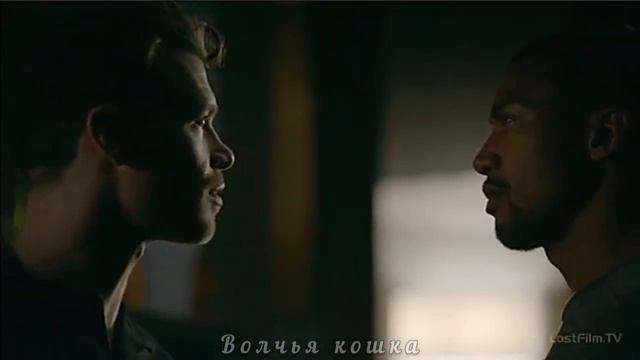 Klaus & Marcel • Слабый пульс смотреть онлайн