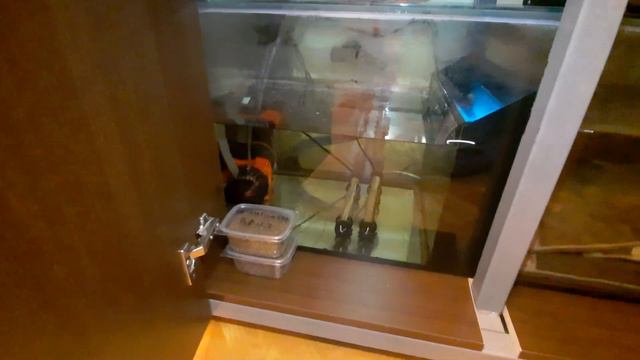 Сделали пресноводный аквариум с сампом👌. 1000+ литров. смотреть онлайн