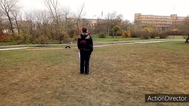 Испытания 10.11.2019. Сревнования по программе BH/VT смотреть онлайн