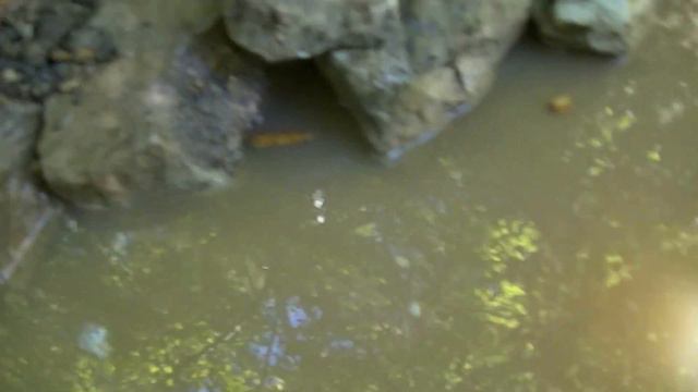 Down In The Creeks Of Southwest Mississippi: Episode 38 Part 1 Of 2 смотреть онлайн