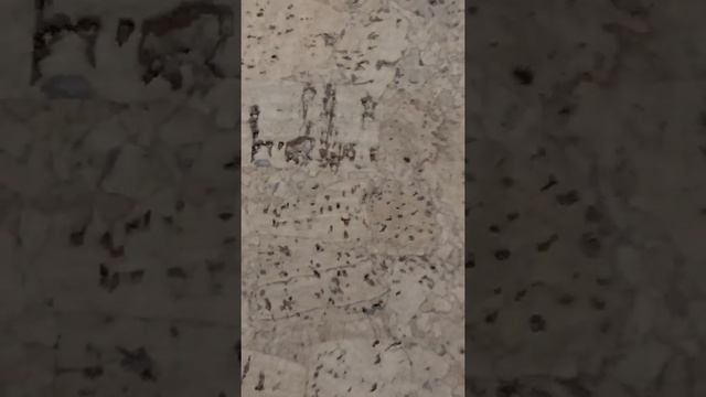 Пробковый пол 4 мм BFM Cork Barneo Sand