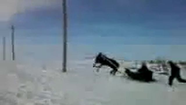 Обучение коня смотреть онлайн