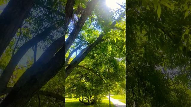 зачем мне солнце монако смотреть онлайн