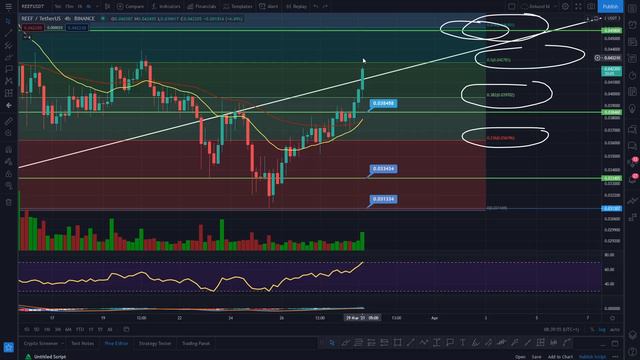 LATEST REEF UPDATE - REEF ANALYSIS AND PRICE PREDICTIONS! - REEF FORECAST - REEF DEFI