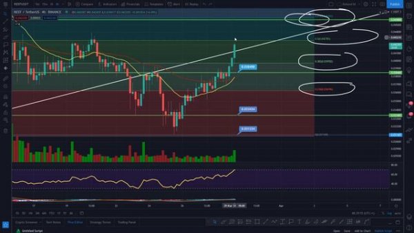 LATEST REEF UPDATE - REEF ANALYSIS AND PRICE PREDICTIONS! - REEF FORECAST - REEF DEFI