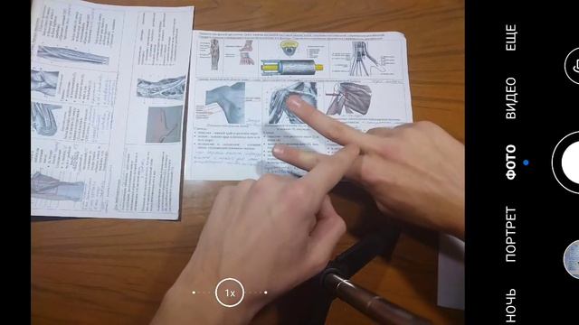 Подмышечная область. Подмышечная полость. Канал лучевого нерва. Борозды плеча. Анатомия и содержимо смотреть онлайн