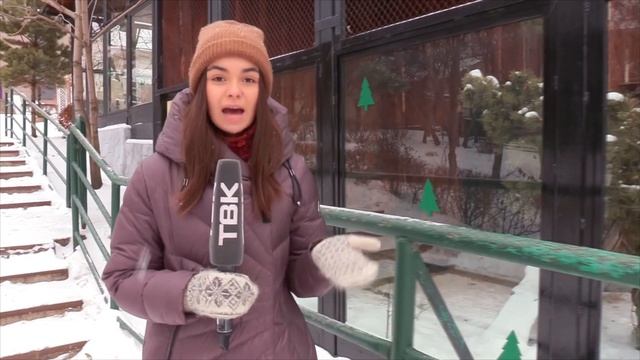 Красноярцы смогут увидеть самку снежного барса в «Роевом ручье» смотреть онлайн