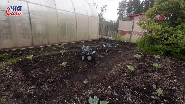 Лучшая рыба для копчения//коптим рыбу на мангале//моя семья//семейный канал/дачные будни/family Vlo