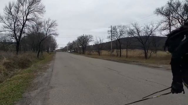 Тренировка На Лыжероллерах смотреть онлайн