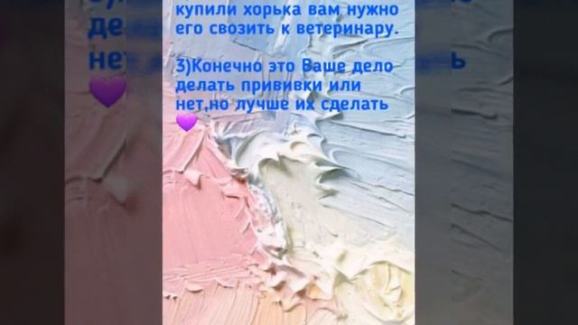Что делать и где покупать хорька? ??Часть вторая смотреть онлайн