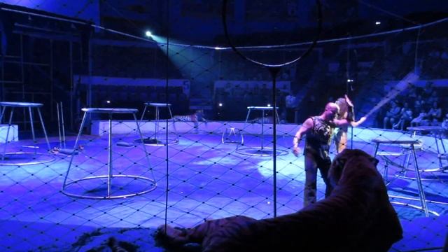 Московский цирк Никулина в Самаре. #ТИГРЫ смотреть онлайн