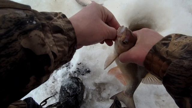 Нет погоды, клев слабый, но рыбалка состоялась. смотреть онлайн