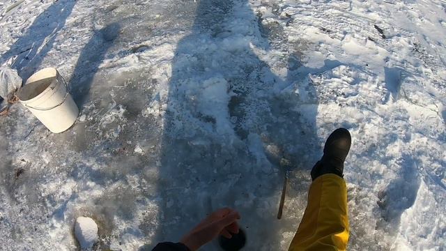 ОТЛИЧНЫЙ КЛЕВ ВОБЛЫ , 20 КГ ВОБЛЫ ЗА 2 ЧАСА !!!!!