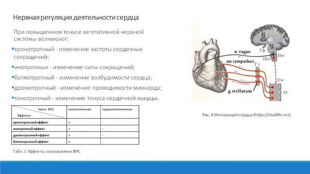 Генинг Т.П. 27/12/21 смотреть онлайн
