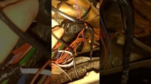 Установка сигнализации Алигатор s825rs на БМВ е39