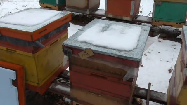 Порода, закорм и вентиляция. /Ответ на комментарий./ смотреть онлайн