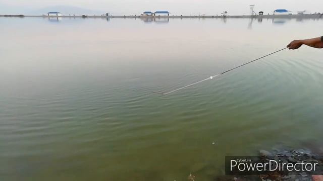 Морская рыба на кастинговую сеть смотреть онлайн