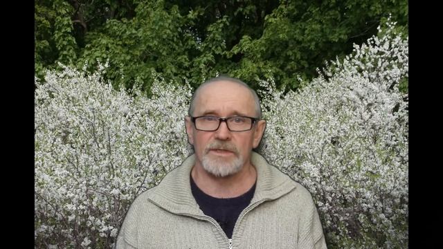 Главный враг пчел ни клещ и ни вирус, а ... смотреть онлайн