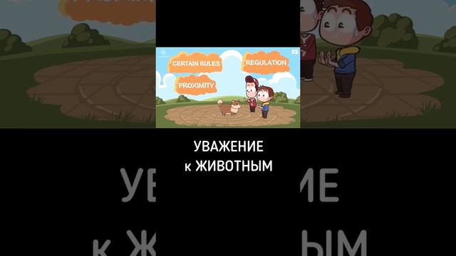 смотрите до конца, уважение к животным. смотреть онлайн