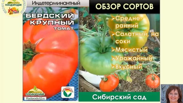 Томатное изобилие. ЧАСТЬ 2 - Обзор высоких сортов смотреть онлайн