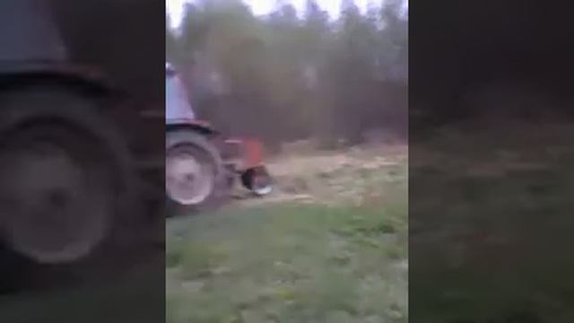 Трактор МТЗ 1220 дискует участок. смотреть онлайн