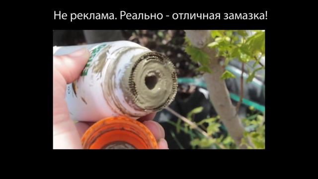 ИСКУССТВЕННАЯ КОРА (замазка для деревьев) смотреть онлайн