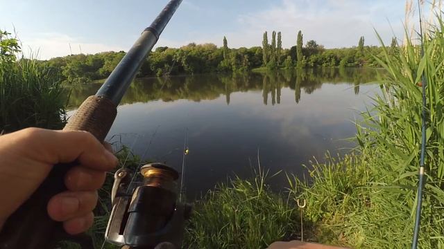 Рыбалка на карася на фидер в июне смотреть онлайн