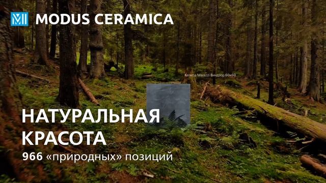 В ОСНОВЕ ВСЕГДА ПРИРОДА / Modus Ceramica смотреть онлайн