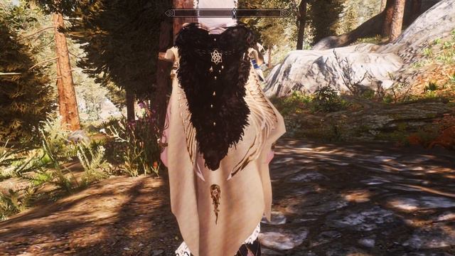 BDOR Ynixtra | Skyrim SE | Best Armor/Outfit смотреть онлайн