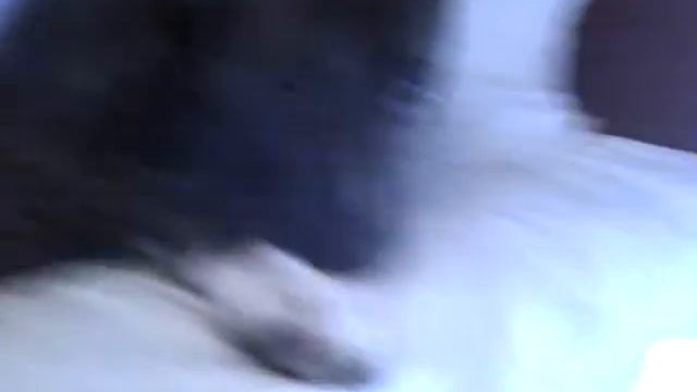 в поезде .m4v смотреть онлайн