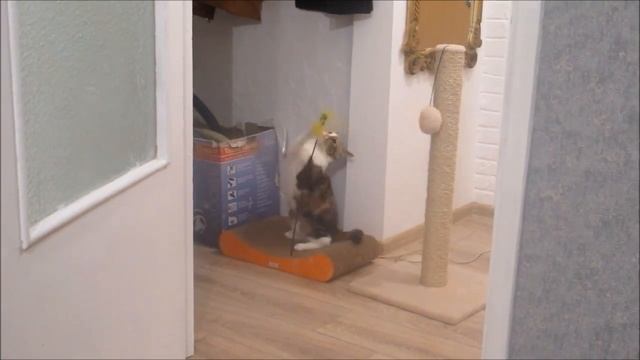 Аліса і Апакаліптыка смотреть онлайн