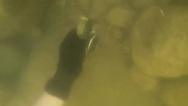 ЧТО МОЖНО НАЙТИ НА ДНЕ РЕКИ #6 НАШЕЛ КОШЕЛЕК С ДЕНЬГАМИ смотреть онлайн