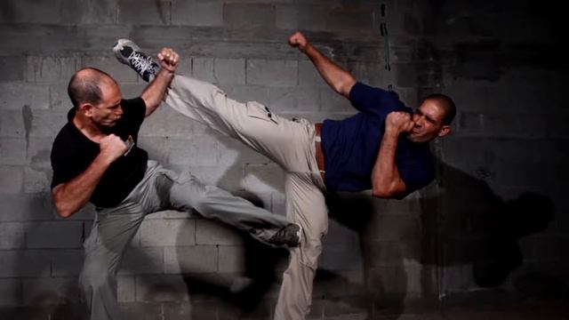 Боевые искусства мира. Крав-мага