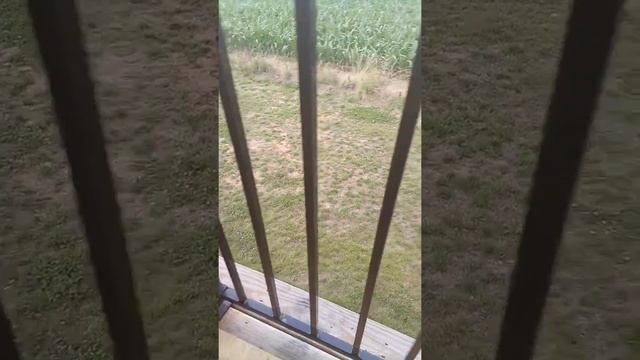 Not my farm! смотреть онлайн