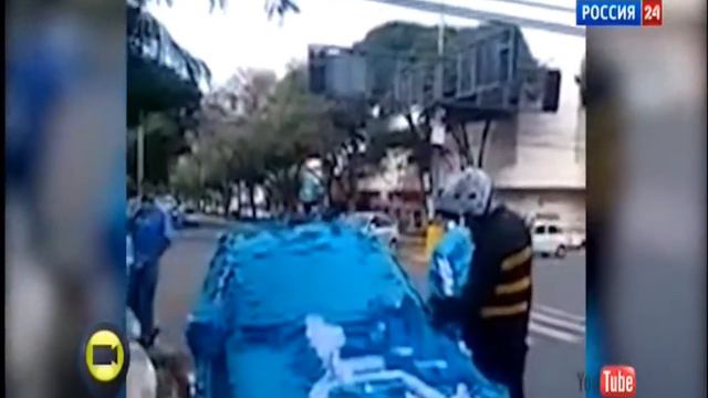 Такой вот [Стоп Хам] в Бразилии смотреть онлайн