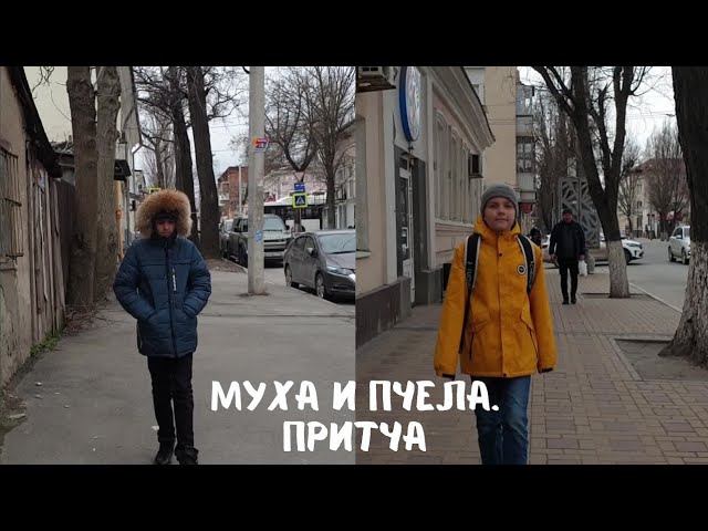 Муха и пчела. Притча смотреть онлайн